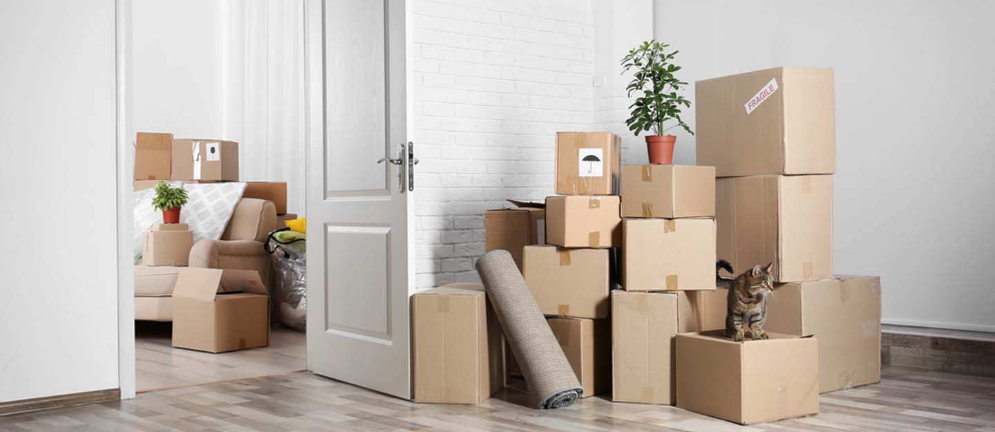 How to Budget Efficiently For Your UAE Move with Kingdom International Movers